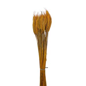 Atado Espiga de Trigo