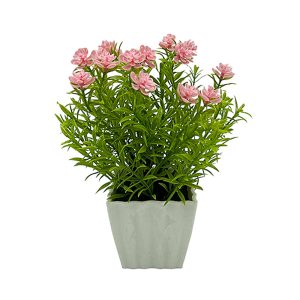 Flor con Pasto en Maceta