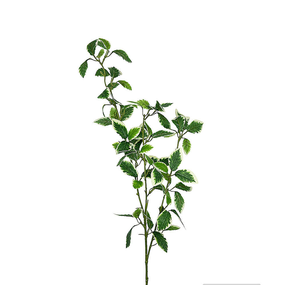 yaques-hnos-vara-hoja-bicilor-4