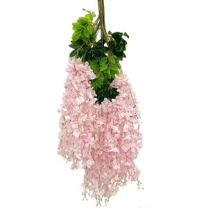 Planta Hortensia Colgante - Atado x12