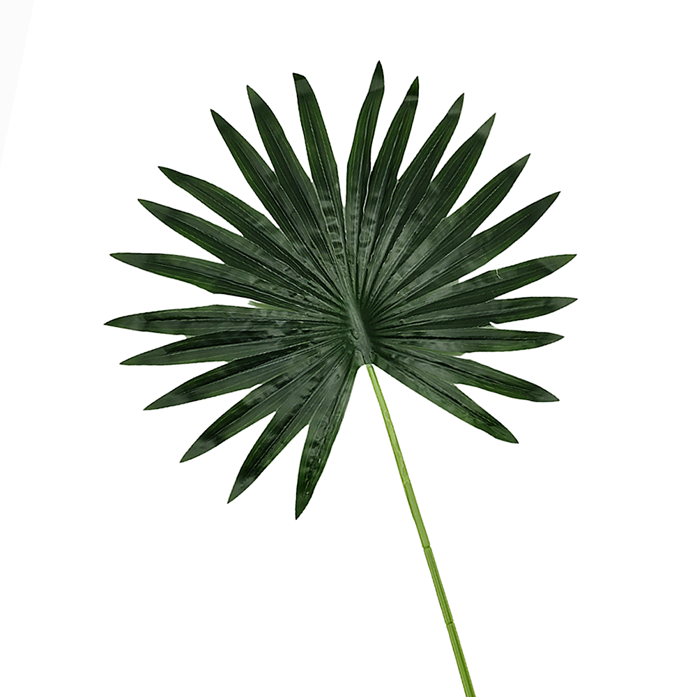 yaques-hnos-vara-hoja-palma-cocotero-051