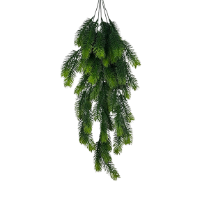 Planta Colgante Pino Frondoso