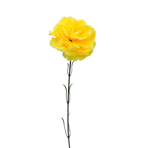 Clavel Grande Individual Amarillo - Caja de 100 uni.
