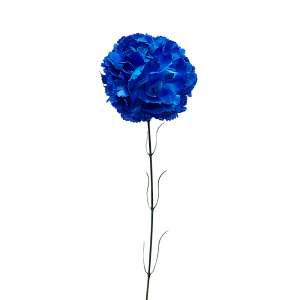 Clavel Grande Individual Azul - Caja de 100 uni.