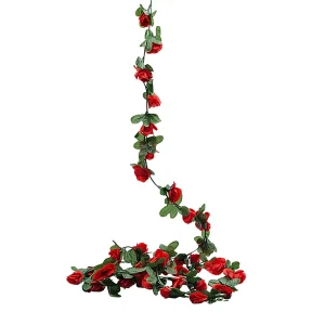 Guía de Rosita 2,55mt