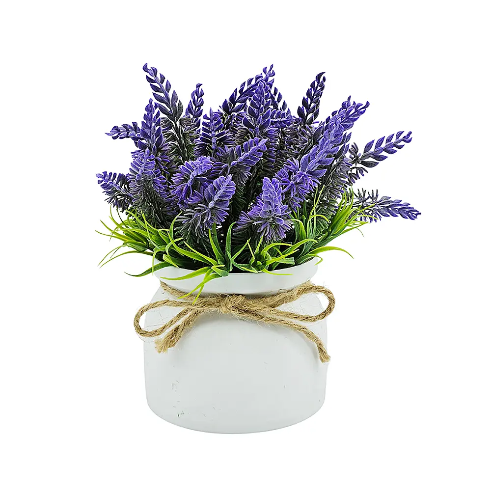 yaques-hnos-planta-lavanda-en-maceta-SB25073-1