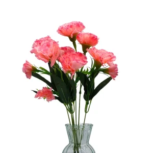 Ramo Clavel