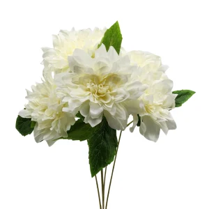 Ramo de Dalia Seca