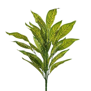 Ramo Dieffenbachia