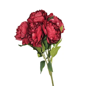 Ramo Flor Peonia Grande