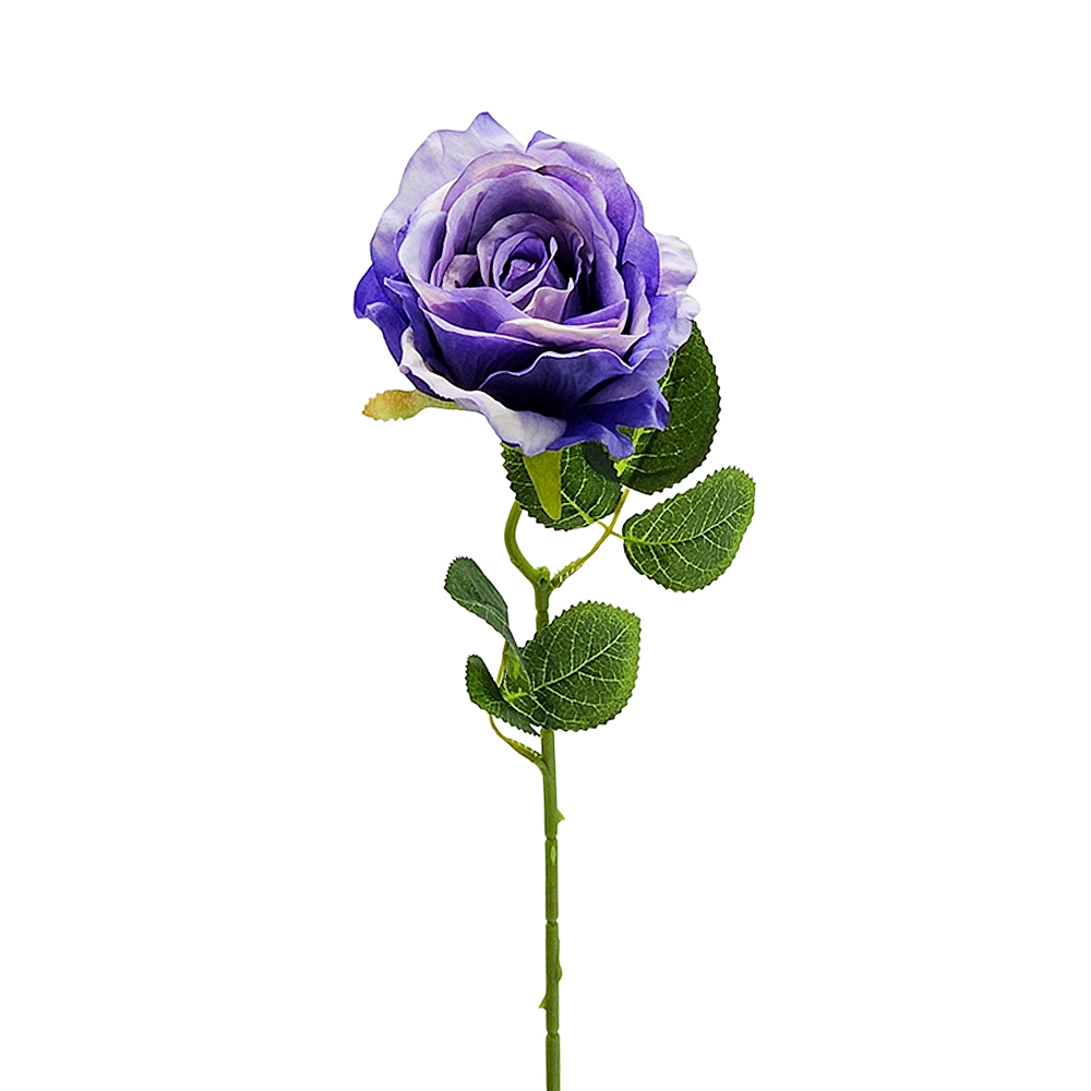 yaques-hnos-vara-rosa-deluxe-WSB25006-1