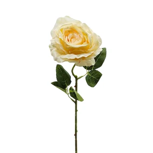 Vara Rosa Deluxe