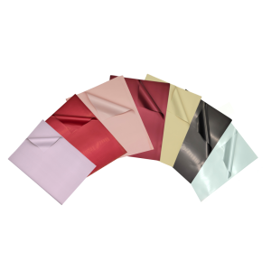 Papel Coreano Diseño Liso 20 unid.