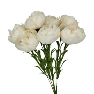 Ramo de Flor Peonía X7