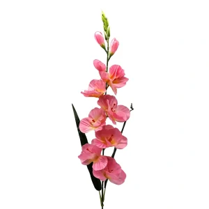 Vara De Flor Gladiolo