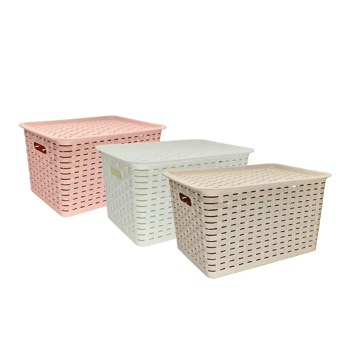 yaques-hnos-caja-organizadora-con-tapa-28cm-largo-YH30954XL-1