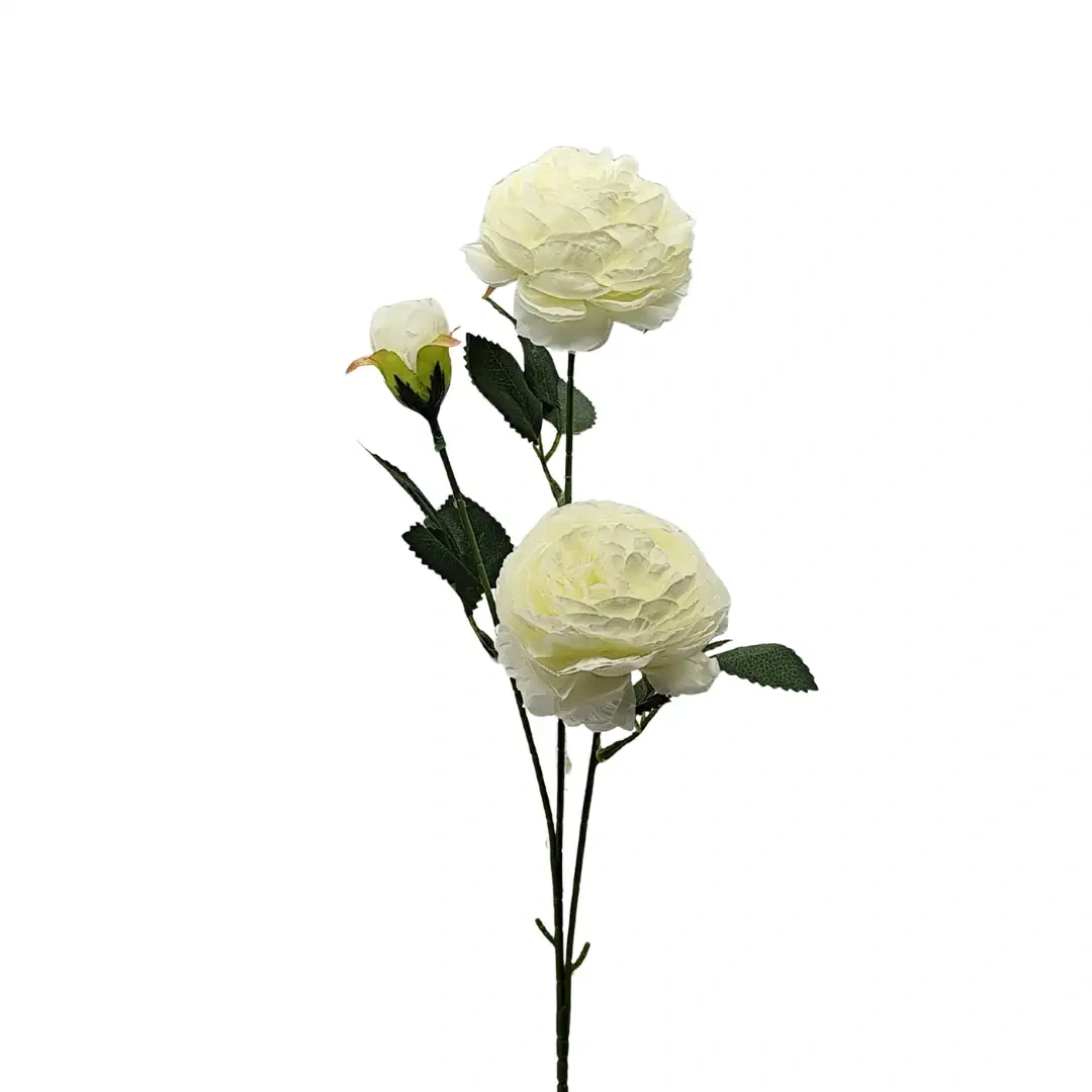 yaques-hnos-vara-de-rosa-inglesa-x3-YH30210-1