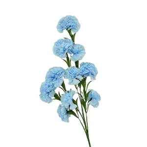 Vara Flor Clavelina 10 Flores