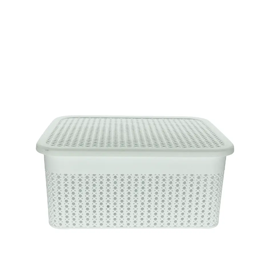 yaques-hnos-canasto-organizador-con-tapa-385-cm-largo-YH30948L-1