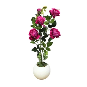 Planta de Rosas con Maceta 75 cm Alto
