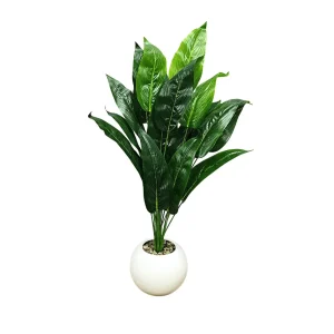 Planta Lirio de la Paz con Maceta 75 cm Alto