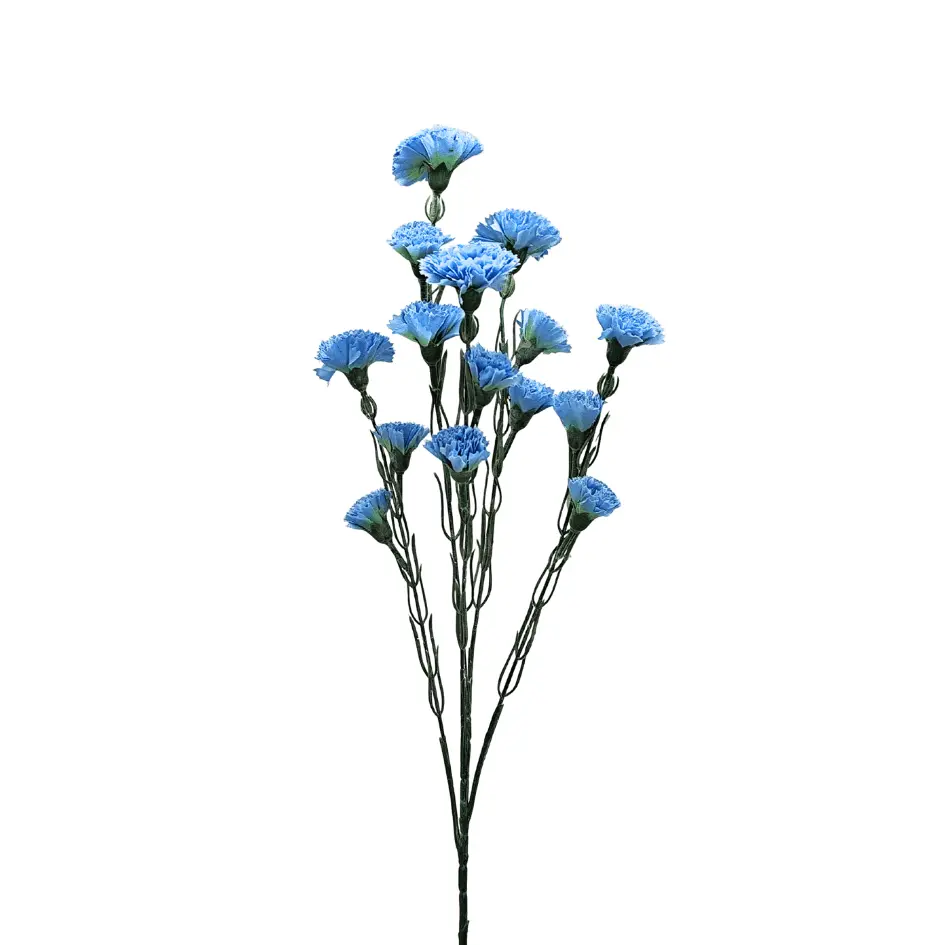 yaques-hnos-vara-clavelina-color-YH30002-1