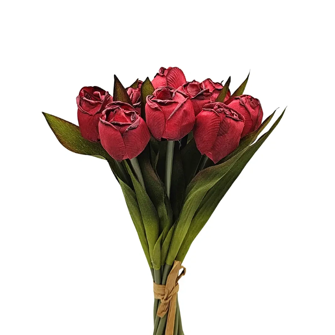 yaques-hnos-atado-de-12-tulipanes-deluxe-YH30094-1
