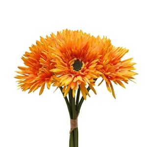 Atado de 6 Gerberas Deluxe
