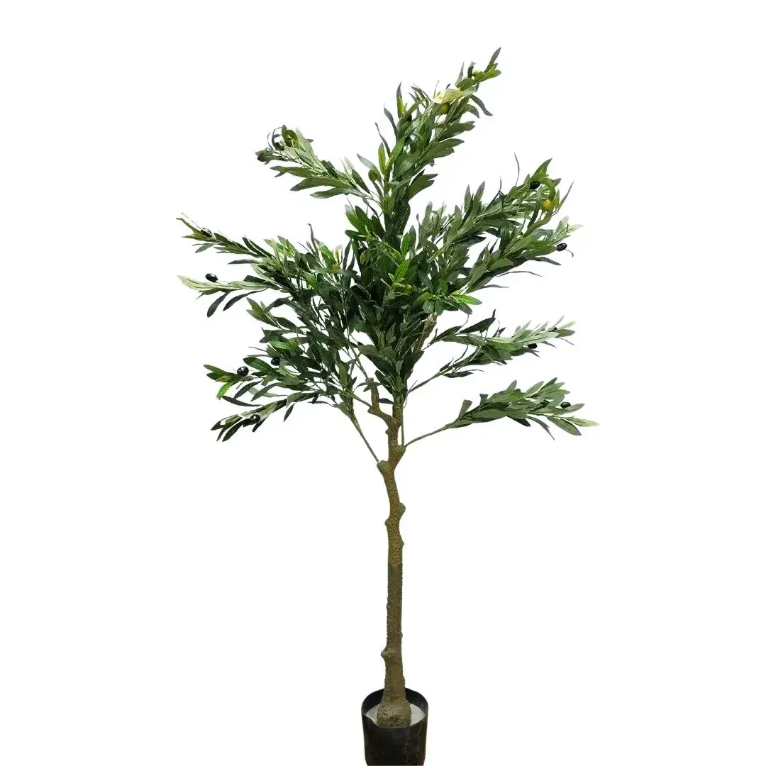 yaques-hnos-arbol-de-olivo-159cm-alto-YH30189-1