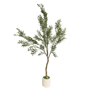 Árbol de Olivo 250 cm Alto