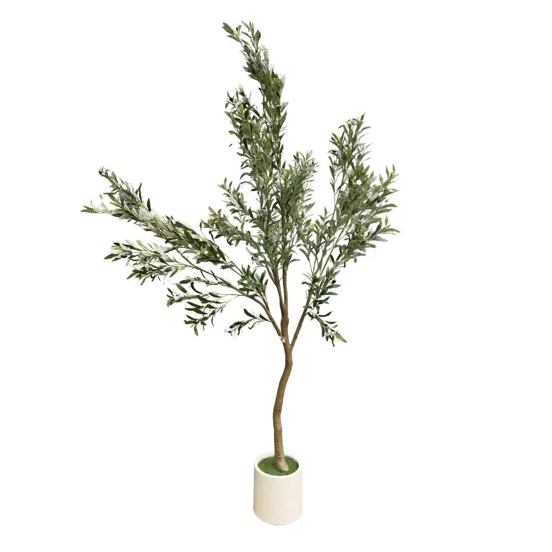 yaques-hnos-arbol-de-olivo-250cm-alto-YH30190-1