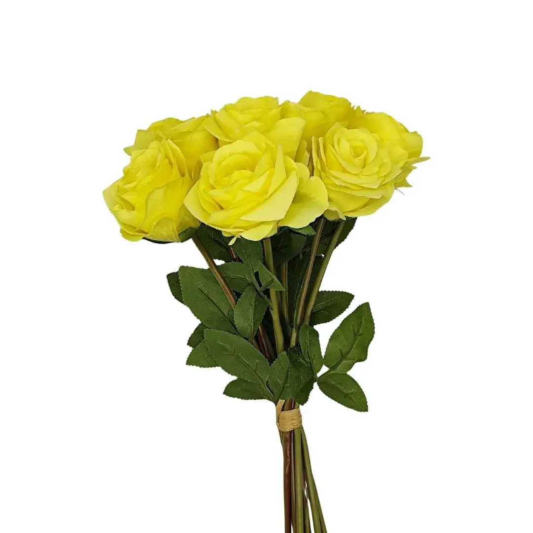 yaques-hnos-atado-de-10-rosas-YH30057-1