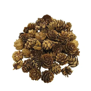 Piñas de Pino Secas para Decoración