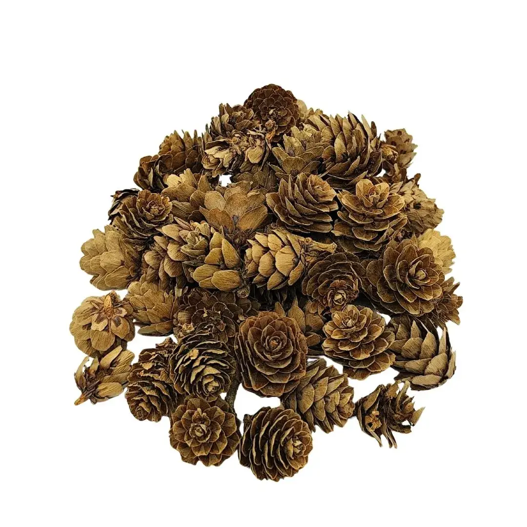 yaques-hnos-pinas-de-pino-secas-para-decoracion-YH30024-1