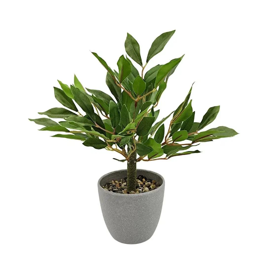 yaques-hnos-planta-de-la-fortuna-31cm-alto-YH31046-1