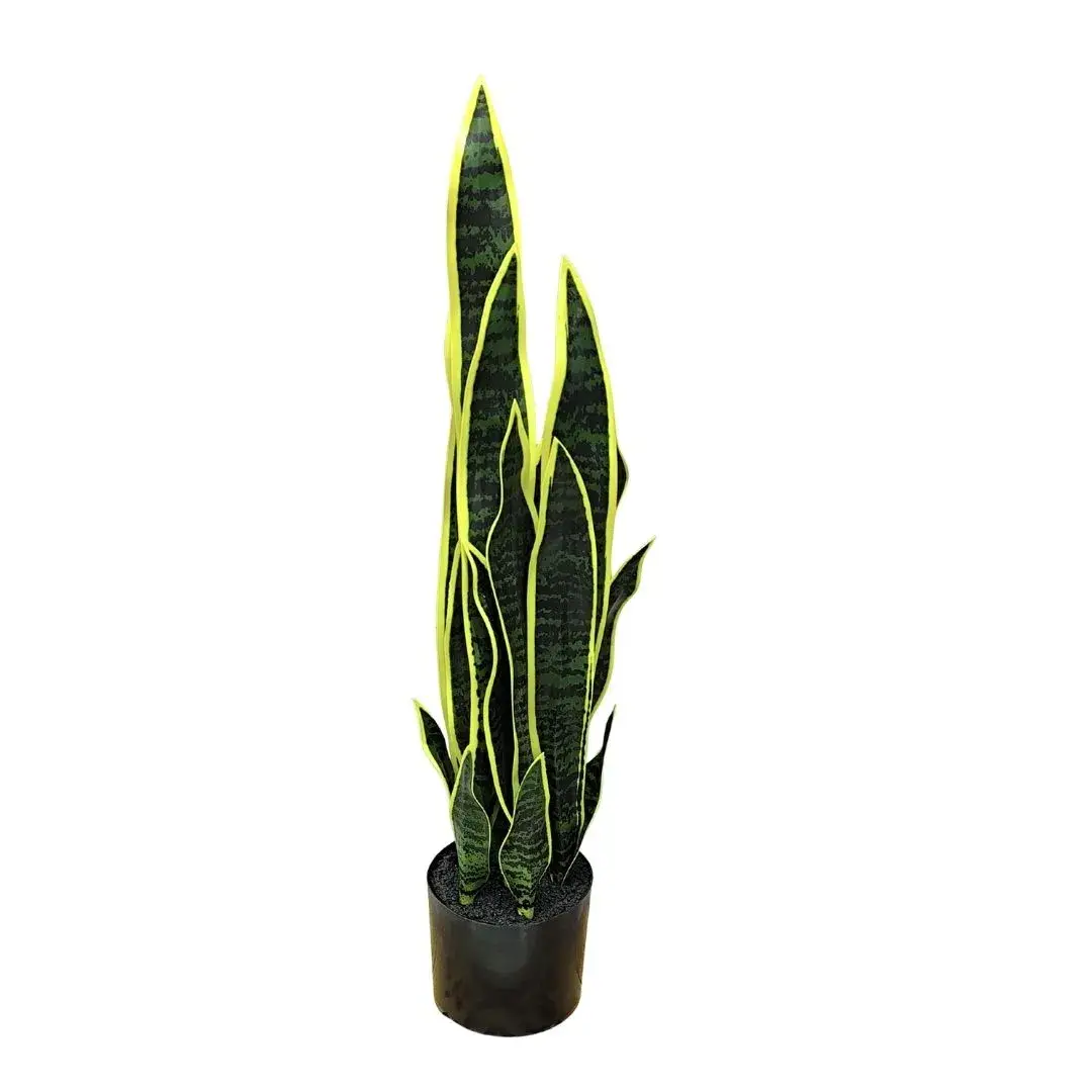 yaques-hnos-planta-espada-de-san-jorge-80cm-alto-YH31045-1