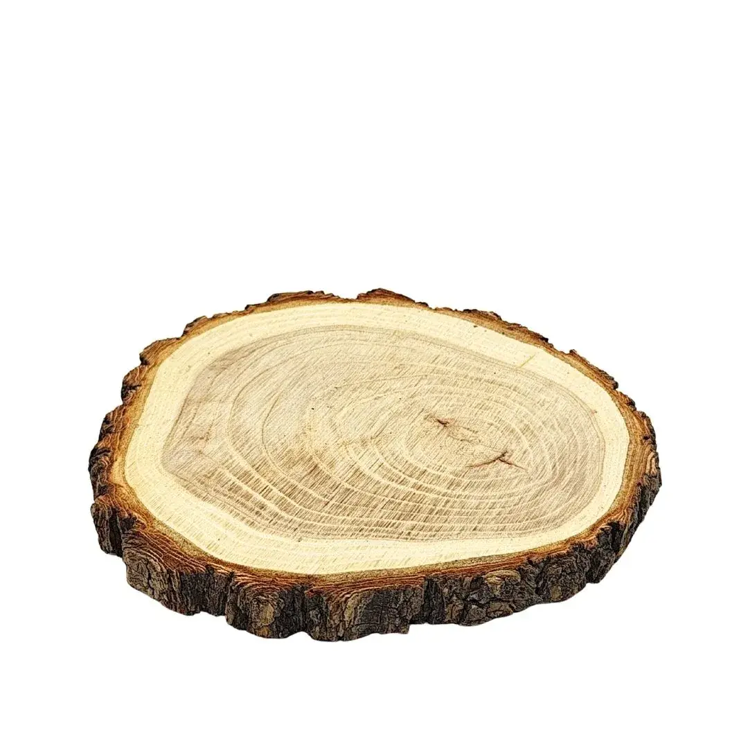 yaques-hnos-rodaja-de-madera-tronco-YH30026-1